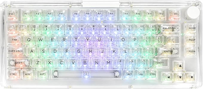 KiiBoom Phantom 81 75% Transparent Mechanical Gaming Keyboard Hot Swappable Custom Gasket Keyboard with RGB Backlit Clear Keycap Rechargeable Battery Triple Mode for Win/Mac (Phantom 81 V3 Clear)