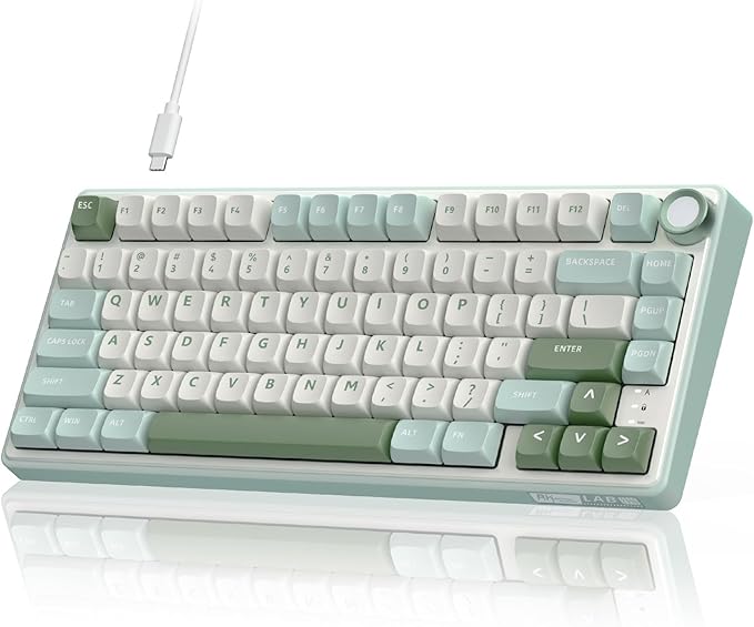 RK ROYAL KLUDGE R75 Mechanical Keyboard Wired with Volume Knob 75% Keyboard Gasket Mounted RGB Backlit Creamy Keyboard with MDA Profile PBT Keycaps Hot Swappable Pre-lubed Tactile Switch