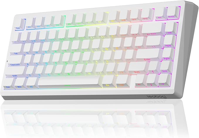 LEOBOG A80 RT Hall Effect Gaming Keyboard Wired Rapid Trigger Magnetic Switch Keyboard with 0.01mm RT Adjustable Actuation 8000Hz Polling Rate RGB Backlit Mechanical Keyboard 75% for PC Gamer