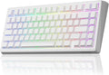 LEOBOG A80 RT Hall Effect Gaming Keyboard Wired Rapid Trigger Magnetic Switch Keyboard with 0.01mm RT Adjustable Actuation 8000Hz Polling Rate RGB Backlit Mechanical Keyboard 75% for PC Gamer