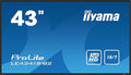 iiyama 43 1920x1080 IPS panel 1% Haze Landscape mode W128844329 (Haze Landscape mode Speakers 2x 10W VGA 3x HDMI 350cd/mý Media Play USB Port Control LAN /)
