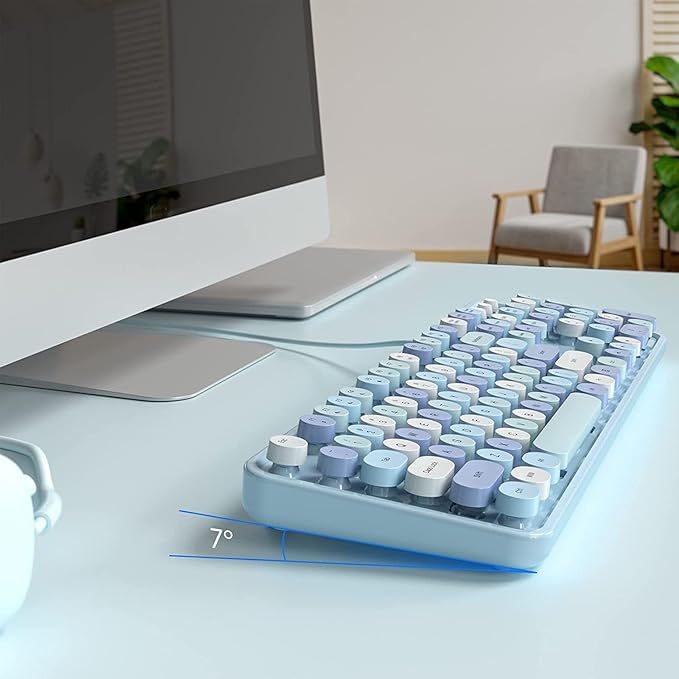 KNOWSQT Wired Computer Keyboard - Blue Colorful Retro Full Size Round Keycaps Plug and Play Typewriter Cute Keyboards for Windows Laptop PC Desktop Computer