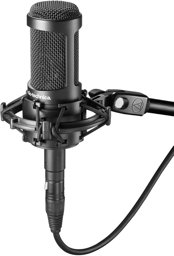 Audio-Technica AT2035 Cardioid Condenser Microphone Bundle with Pop Filter XLR Cable and Austin Bazaar Polishing Cloth