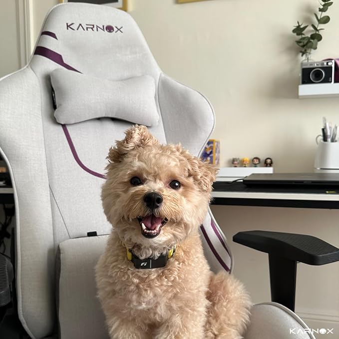 KORNOX Ergonomic Gaming Chair Fabric for AdultsOffice Chair High BackGame Chair Cloth Height Adjustable for TeensGame Chair Racing with Headrest and Lumbar Support for GirlWhite and Purple