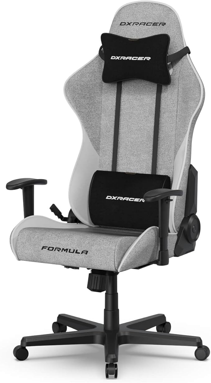 DXRacer Formula L Ergonomic Gaming Chair for Adults Reclining Video Office Computer Gamer Chair with Lumbar Support and Headrest (Water-Resistant Fabric Gray White)