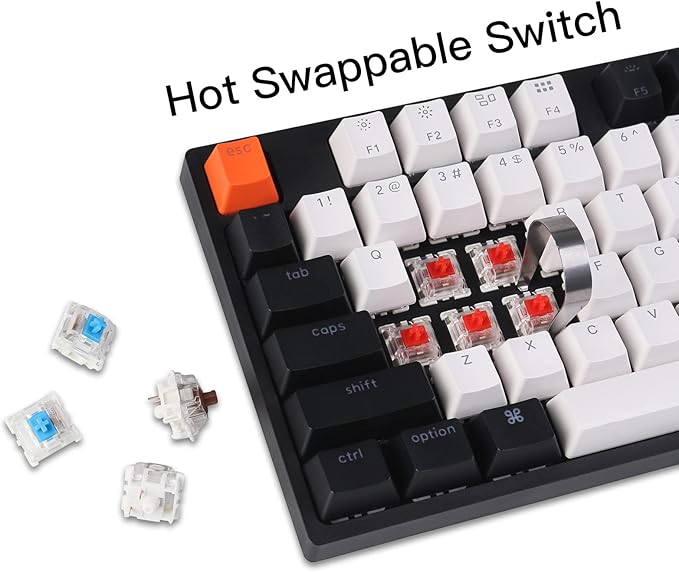 Keychron C2 Full Size Wired Mechanical Keyboard for Mac Hot-swappable Gateron G Pro Red Switch White Backlight 104 Keys ABS keycaps Gaming Keyboard for WindowsType-C Braid Cable