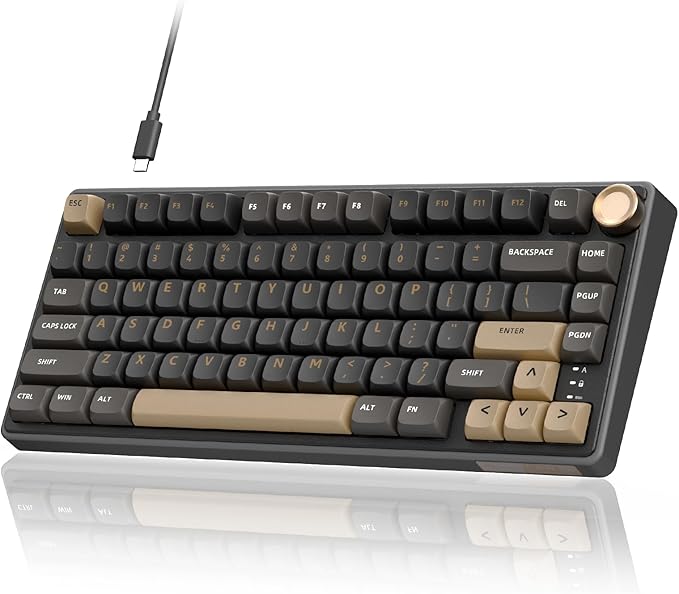 RK ROYAL KLUDGE R75 Wired Gaming Keyboard with Volume Knob 75% Mechanical Gaming Keyboard Custom Gasket Mount with MDA Profile PBT Keycaps QMK/VIA Hot Swappable Silver Switch Black