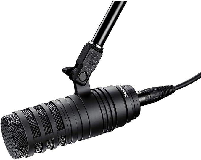 Audio Technica BP40 Large-Diaphragm Broadcast Microphone