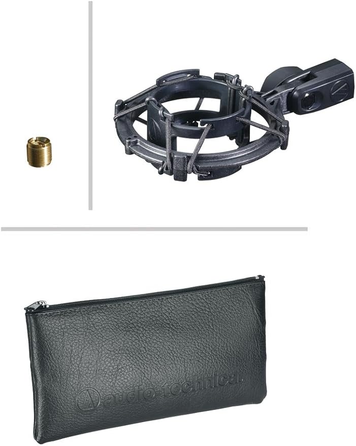 Audio-Technica AT2035 Cardioid Condenser Microphone Bundle with Pop Filter XLR Cable and Austin Bazaar Polishing Cloth