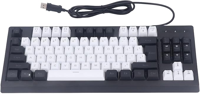 Vikye Compact 87 Keys Mechanical Keyboard with RGB Backlight Double Color for Gaming and Office (Black and White)