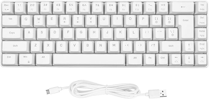 Mechanical Gaming Keyboard V200 68 Keys LED Backlit USB Wired Keyboard Type C USB Gaming Keyboard for IBM PC Win98SE (White)