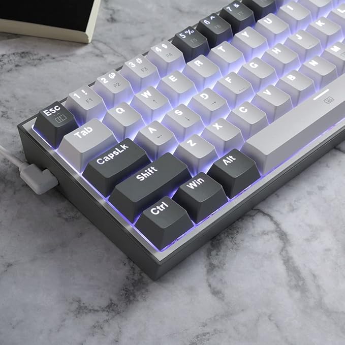 Redragon K617 Fizz 60% Wired RGB Gaming Keyboard 61 Keys Hot-Swap Compact Mechanical Keyboard w/White and Grey Color Keycaps Linear Red Switch Pro Driver/Software Supported