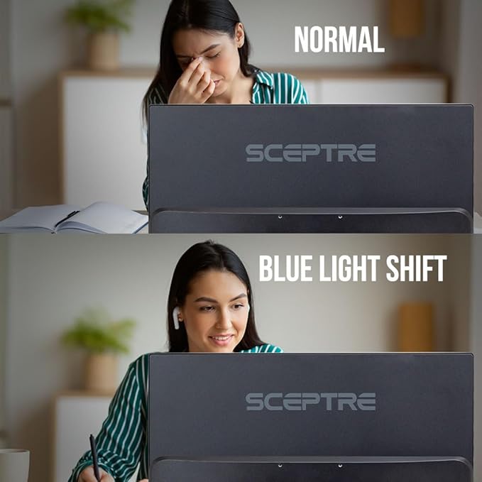 Sceptre 22-Inch 75Hz 1080p LED Monitor HDMI VGA Build-in Speakers Brushed Black 2019 (E225W-19203S)Metal Black