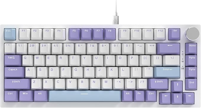 AJAZZ AK820 75% Wired RGB Gasket Mechanical Keyboard with Volume Knob Compact 82 Keys Hot-Swap Keyboard OME Profile PBT Keycap Detachable Type-C Cable (Purple&ampBlue)