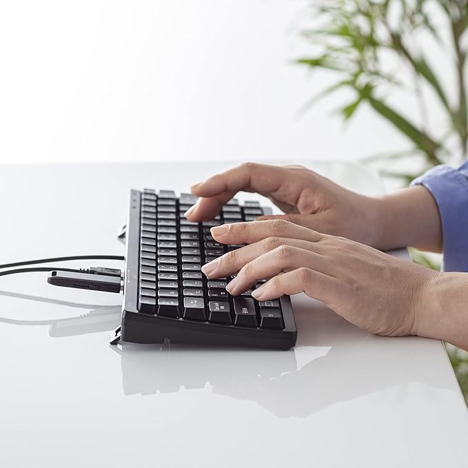 Sanwa Supply SKB-KG3UH2BK Compact Keyboard with USB Hub Black No Numeric Keypad