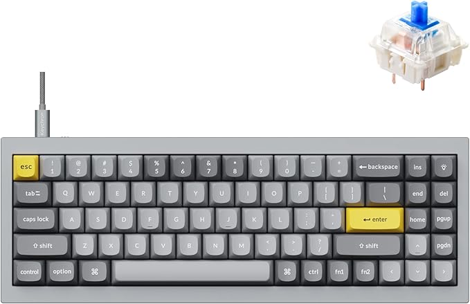 Keychron Q7 Wired Custom Mechanical Keyboard 70% Layout QMK/VIA Programmable Macro with Hot-swappable Gateron G Pro Blue Switch Double Gasket Compatible with Mac Windows Linux (Grey)