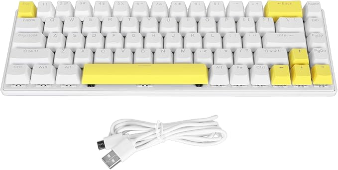 Vikye Mechanical Gaming Keyboard RGB Backlight Compact 68 Keys Mini Wired Office Keyboard with Blue Switch Suitable for Windows for Android PC Laptop (White