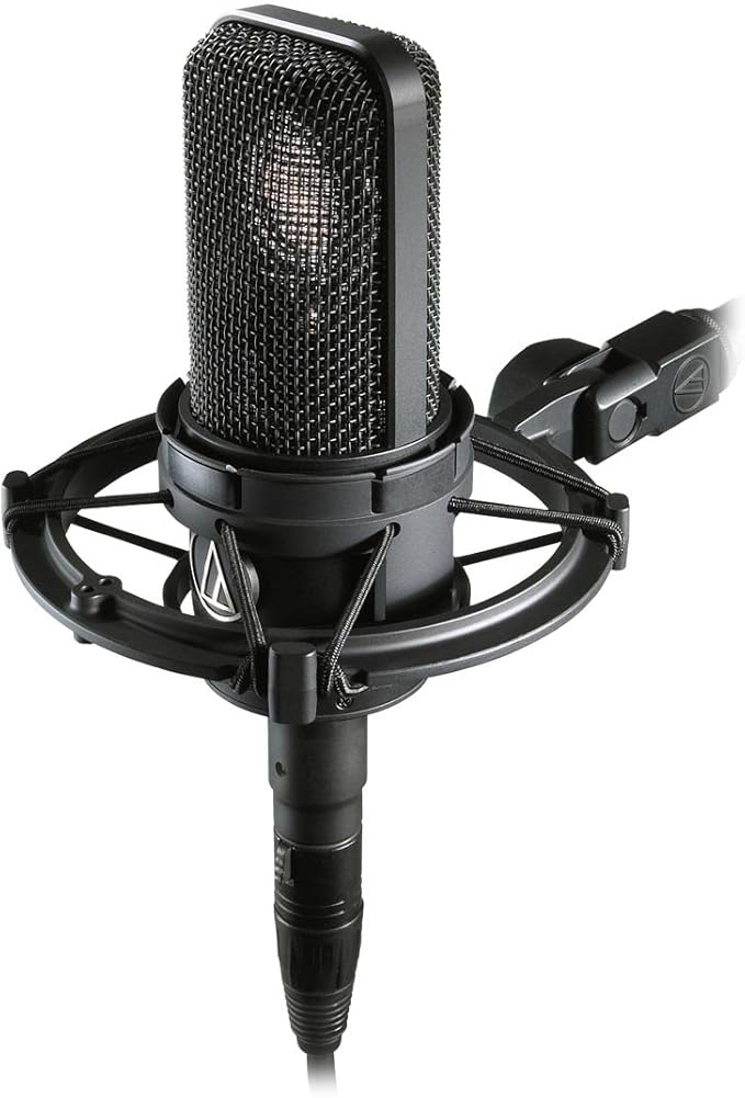 Audio-Technica AT4040 Cardioid Condenser Microphone Bundle with Boom Stand Pop Filter XLR Cable and Austin Bazaar Polishing Cloth