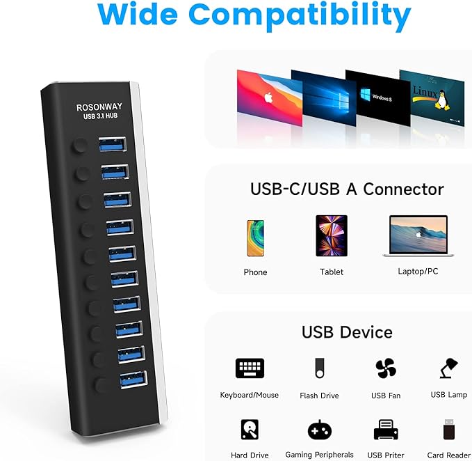 Powered USB Hub Rosonway 10 Port USB 3.1/3.2 Gen 2 Hub 10Gbps with 36W (12V/3A) Power Adapter Type A and Type C Cables Aluminum USB C Hub Splitter for PC and Laptop (RSH-A10S)