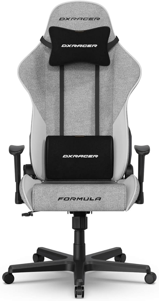 DXRacer Formula L Ergonomic Gaming Chair for Adults Reclining Video Office Computer Gamer Chair with Lumbar Support and Headrest (Water-Resistant Fabric Gray White)
