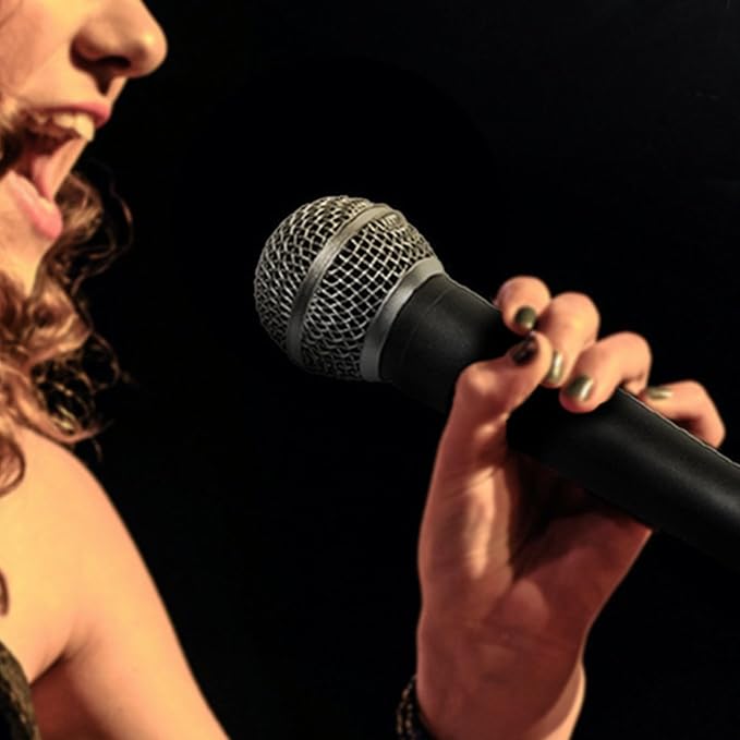 Professional Handheld Wired Microphone Dynamic Mic with Steel Mesh Grille for KTV Stage Performance 6.5mm Copper Cable