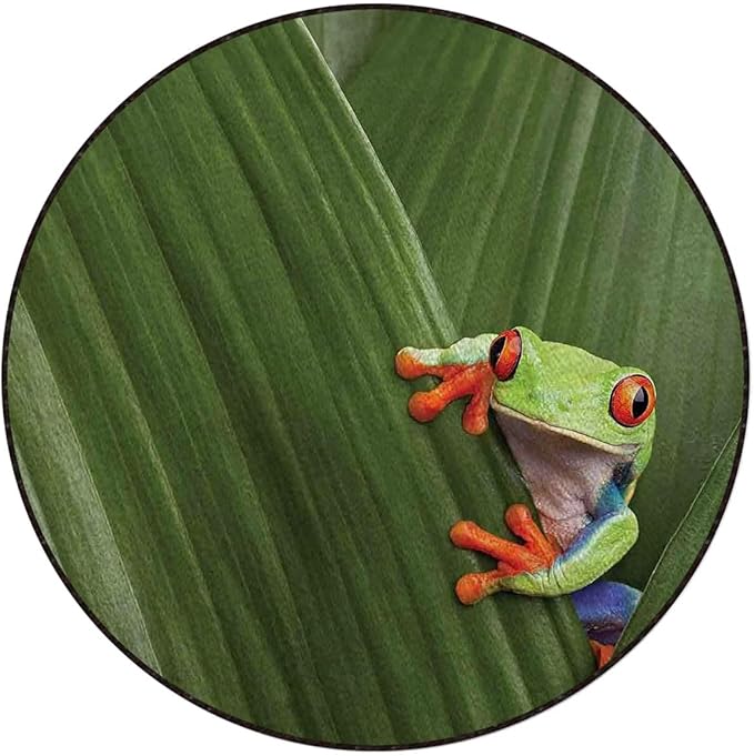 Green Gaming Chair Mat Under Computer Desk Red Eyed Tree Frog Hiding in Exotic Rainforest Tropical Round Office Chair Mats Home Rolling Gaming Chair Mat Animal Diameter 39 in