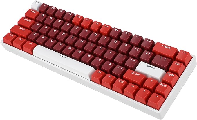 FILFEEL 68 Keys RGB Backlit Gaming Mechanical Keyboard Portable Wired Keyboard with Red Switch Type C Mechanical Keyboard with Harmonious Support for 2000 ME Vista 7 8 10 for