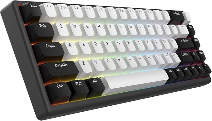 ARBITER Polar 65 -CNC Magnetic Gaming Keyboard w Rapid Trigger Hall Effect Switches CNC Aluminum Frame Rapid Trigger 65% Compact Bright RGB Dual-Shot PBT Keycaps - Black Panda