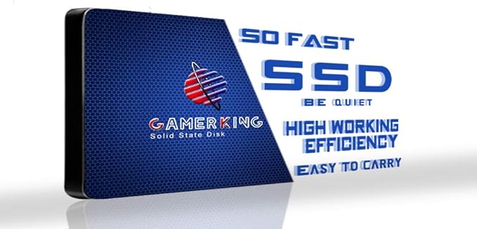 GAMERKING SSD 64GB SATAIII 2.5 inch 6Gb/s 7MM Internal Solid State Drive for PC Laptop Desktop Hard Drive SSDSSD (64GB 2.5-SATA Ⅲ)