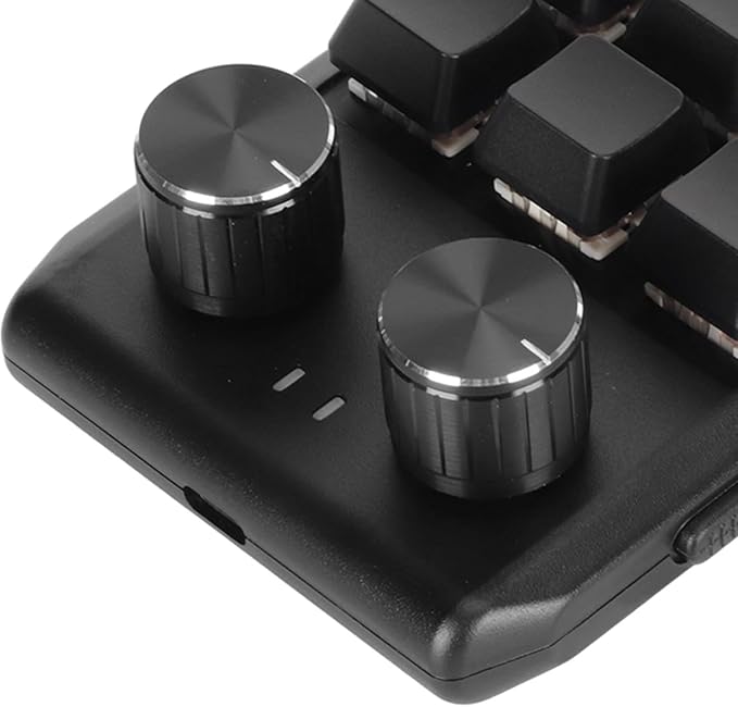 GOWENIC Mini Keypad Programmable Gaming Keyboard 12 Key Mechanical Keypad with Red Switches 2 Knobs Custom Macro Shortcut Keys for PC Gaming Multimedia