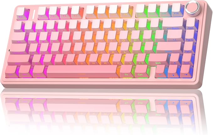 AULA F75 Pro Wireless Mechanical Keyboard Silent Version75% Hot Swappable Custom Keyboard with KnobRGB BacklitPre-lubed SwitchesSide Printed PBT Keycaps2.4GHz/USB-C/BT5.0 PC Gaming KeyboardsPink