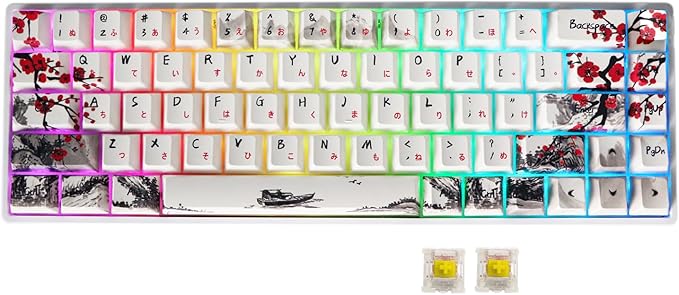 MOLGRIA GK68 68-Key RGB Backlit Gaming Keyboard with Plum Blossom Keycaps Hot Swappable Yellow Mechinery Switches Type C Wired Mechanical Keyboard for Win/Mac OS