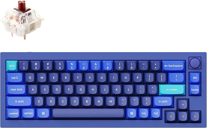 Keychron Q2 Wired 65% Layout Mechanical Keyboard with Knob &amp RGB - Hot-Swappable Gateron G Pro Brown Switch QMK/VIA Programmable Double Gasket Mount Aluminum Body for Mac/Windows/Linux (Blue)