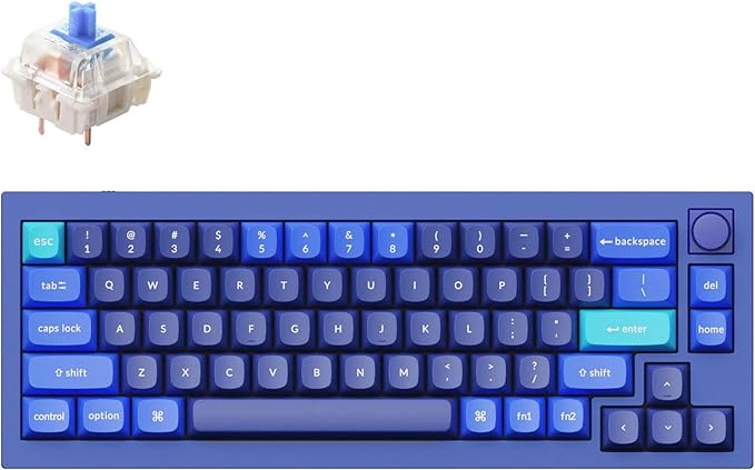Keychron Q2 Wired 65% Layout Mechanical Keyboard with Knob &amp RGB - Hot-Swappable Gateron G Pro Blue Switch QMK/VIA Programmable Double Gasket Mount Aluminum Body for Mac/Windows/Linux (Blue)