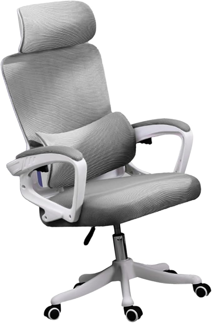 Ergonomic Lumbar Support Office Computer Game Chair Multifunctional Lifting Chair for Home Learning (Grey)
