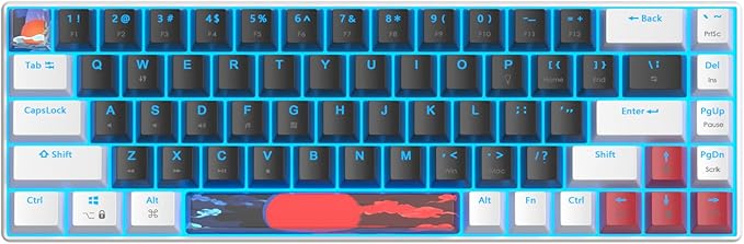60 Percent Gaming Keyboard 68 Keys Mechanical Keyboard LED Backlit Compact Wired Keyboard with Red Switch for Windows PS4/5 Xbox Gamer(White-Black)