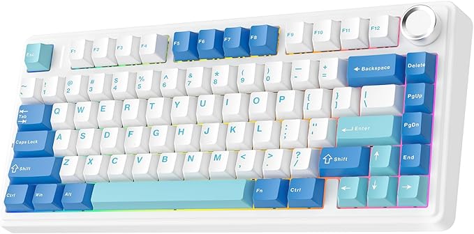 EPOMAKER x Aula F75 Ultra Wireless Gaming Keyboard with Knob 10000mAh Hot Swap RGB PBT Keycap Creamy Sound VIA 75% Mechanical Keyboard for Win/Mac (Blue Pink Mint)