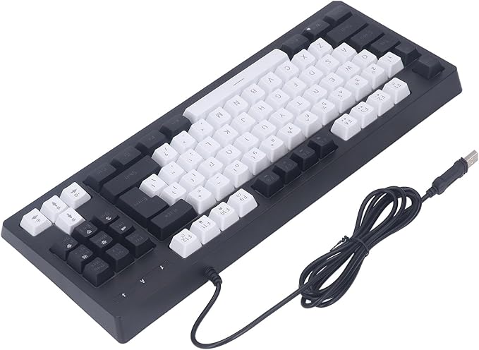 Vikye Compact 87 Keys Mechanical Keyboard with RGB Backlight Double Color for Gaming and Office (Black and White)