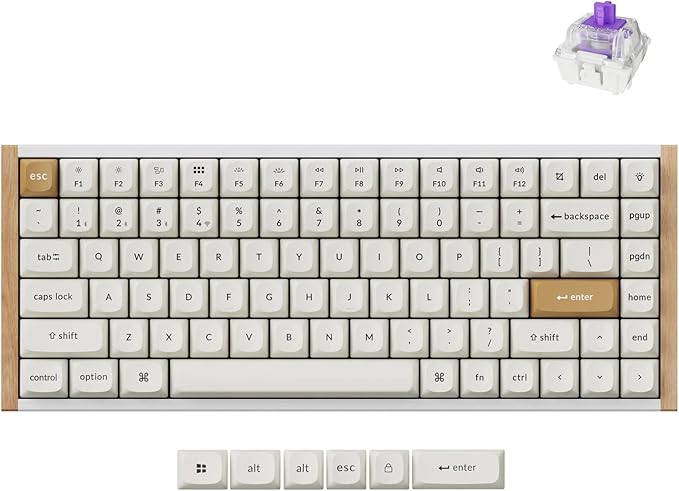 Keychron K2 HE Rapid Trigger Wireless Custom Keyboard with Hall Effect Gateron Double-Rail Magnetic Switch 2.4 GHz QMK Bluetooth 5.2 RGB Compatible with Mac Windows Linux (Aluminum + Wood)