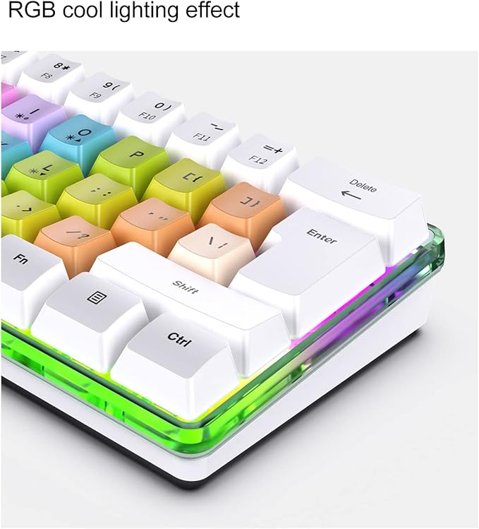61 Keys Mechanical Gaming Keyboard RGB Backlit Compact 60 Percent Wired Keyboard with Colorful Keycaps for PC Office AmpGaming Portable Mini Keyboard with Optical Switches (White)
