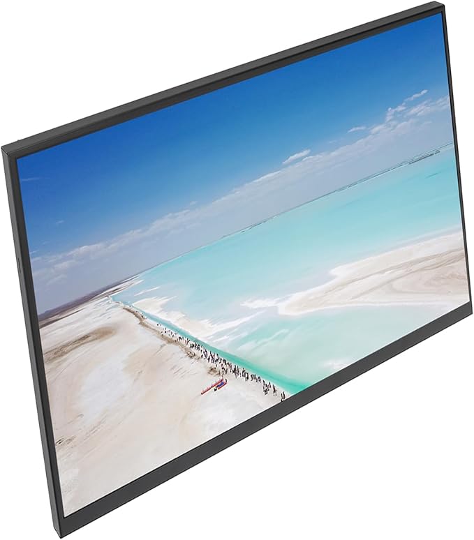 SUNGOOYUE 18 Inch Portable Display High Refresh Rate IPS Screen with Built in Dual Speakers for PC Cell Phone PS3 iOS Tablets (165HZ)