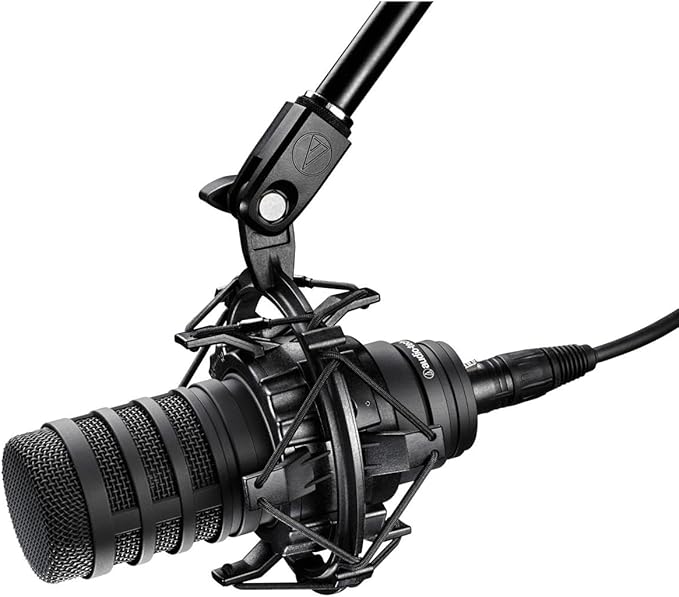 Audio Technica BP40 Large-Diaphragm Broadcast Microphone