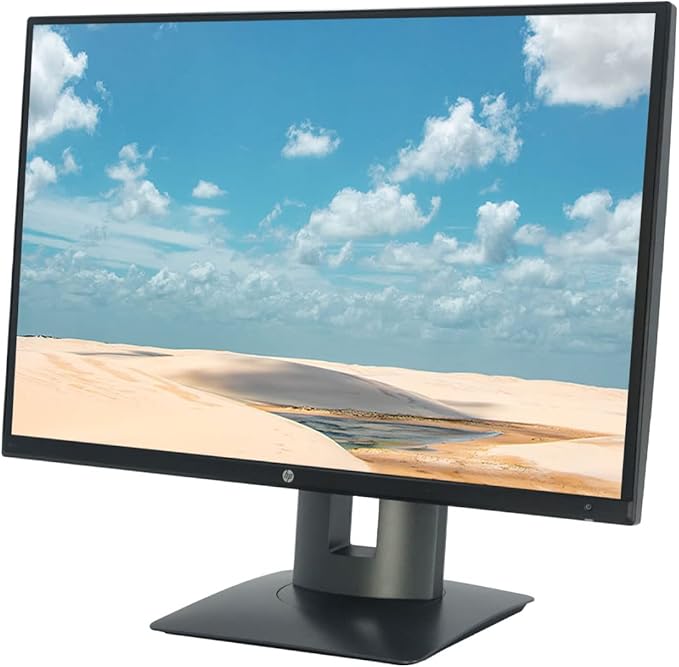 HP Z Display Z24i 24-inch IPS LED Backlit Monitor (Renewed)