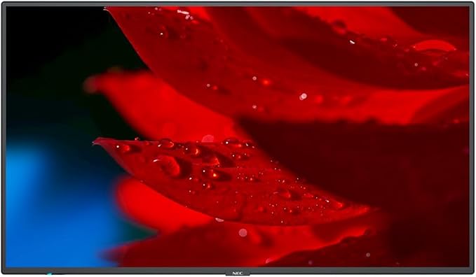 NEC 43 LED LCD UHD 500nits WCG