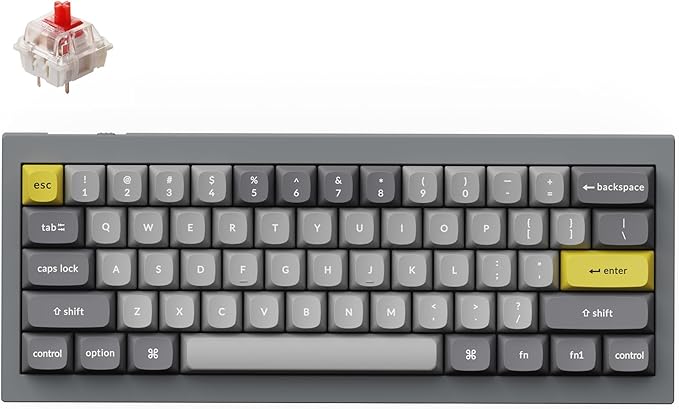 Keychron Q4 Wired Custom Mechanical Keyboard 60% Layout QMK/VIA Programmable Macro with Hot-swappable Gateron G Pro Red Switch Double Gasket Compatible with Mac Windows Linux (Gray)