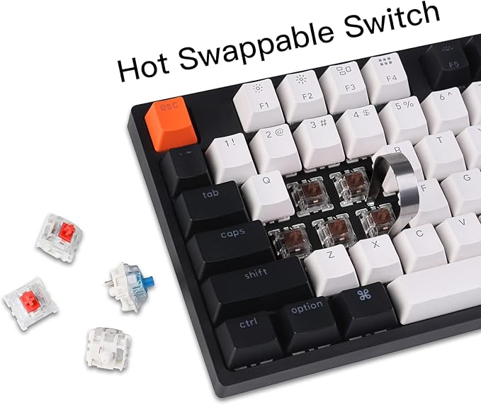 Keychron C2 Full Size Wired Mechanical Keyboard for Mac Hot-swappable Gateron G Pro Brown Switch White Backlight 104 Keys ABS keycaps Gaming Keyboard for WindowsType-C Braid Cable