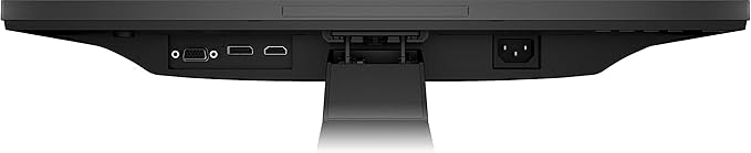 HP P204 LED Display 49.5 cm (19.5) HD+ Flat Black