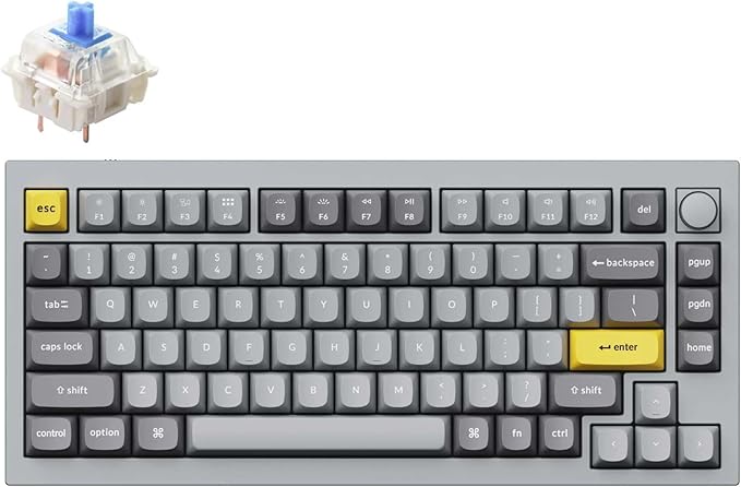 Keychron Q1 RGB Wired Custom Mechanical Keyboard 75% Layout QMK/VIA Programmable Macro with Hot-swappable Gateron G Pro Blue Switch Double Gasket Compatible with Mac Windows Linux (Grey) -Version 2