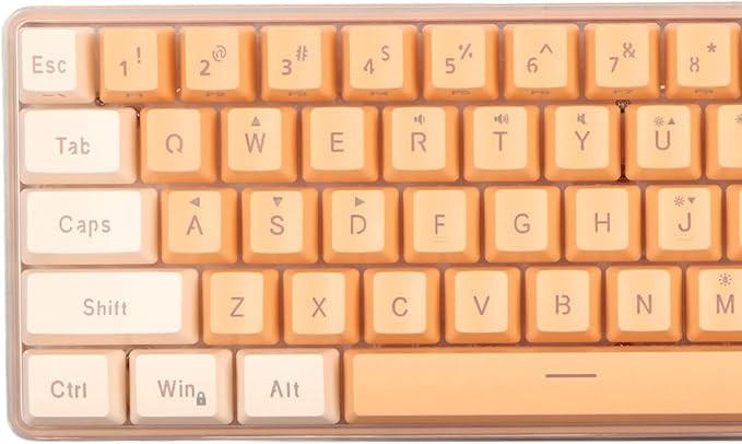 ZJchao Mini Keyboard Gaming Keyboard 60 Percent 61 Keys Keyboard Wired Gaming Keyboard RGB Imitated Mechanical Compact for Typist (Yellow Orange)