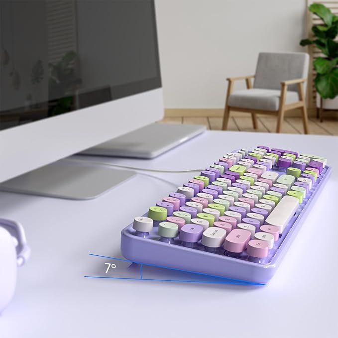 KNOWSQT Wired Computer Keyboard - Purple Colorful Retro Full Size Round Keycaps Plug and Play Typewriter Cute Keyboards for Windows Laptop PC Desktop Computer